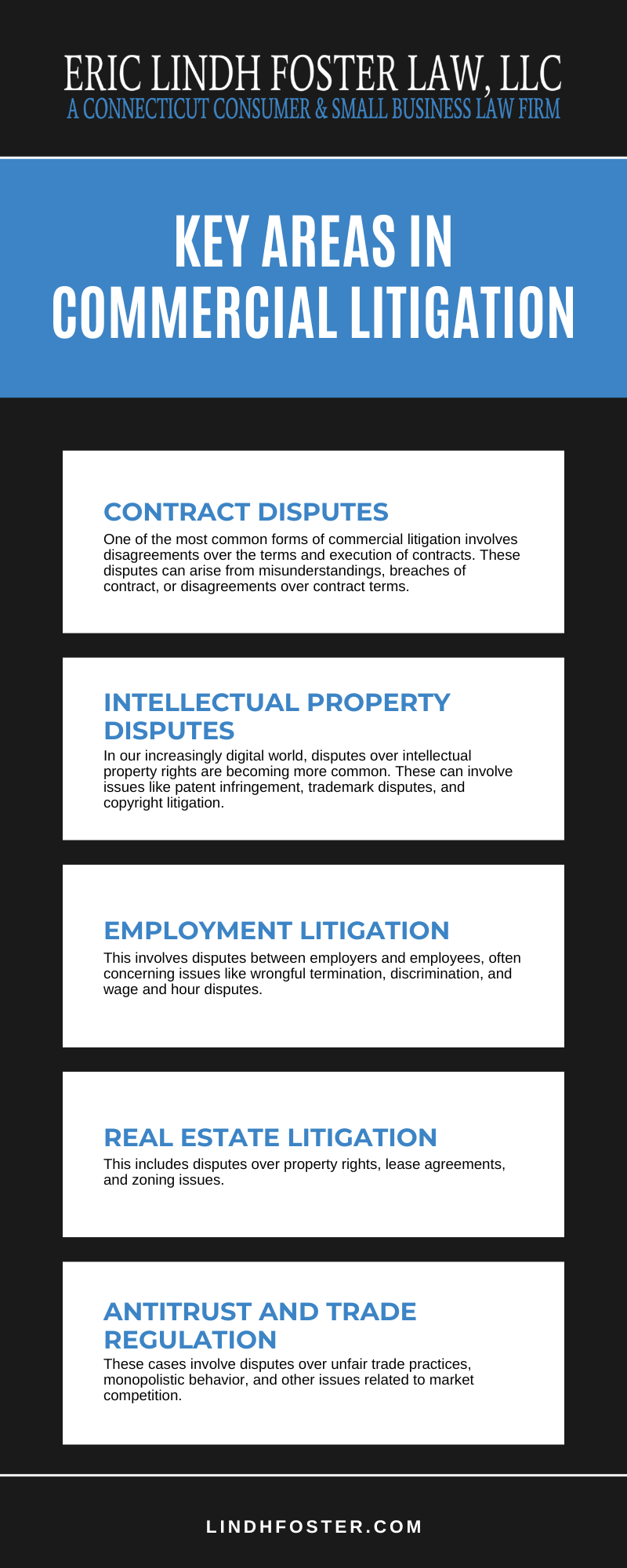 Key Areas In Commercial Litigation infographic